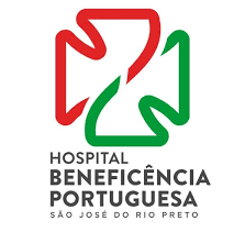 perfil 2