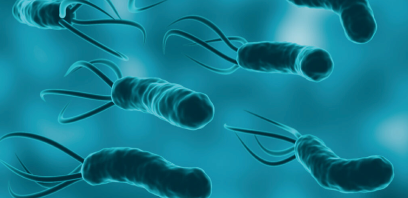 H. Pylori H. Pylori