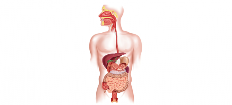Evolução dos Tratamentos na Gastroenterologia e Proctologia