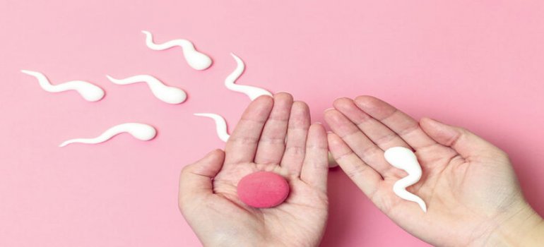 Quanto tempo de Fertilidade ainda me resta? Quanto tempo de Fertilidade ainda me resta?
