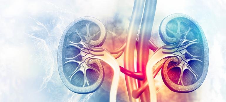Pelle Day Hospital irá contar com médico Urologista em suas novas instalações.